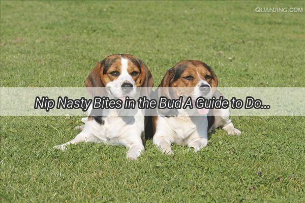 Nip Nasty Bites in the Bud A Guide to Dog Training and Preventing Hand Biting